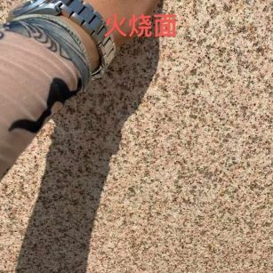 咸阳黄金麻火烧面